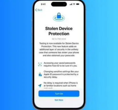坦洲镇苹果授权维修店分享被盗设备保护功能开启方法 