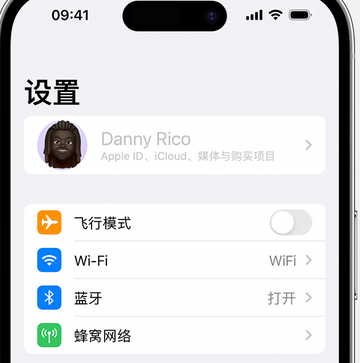 坦洲镇appleID维修服务iPhone设置中Apple ID显示为灰色无法使用 