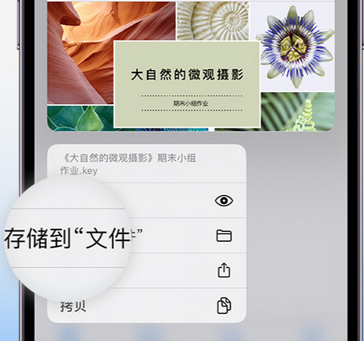 坦洲镇apple维修中心分享iPhone文件应用中存储和找到下载文件