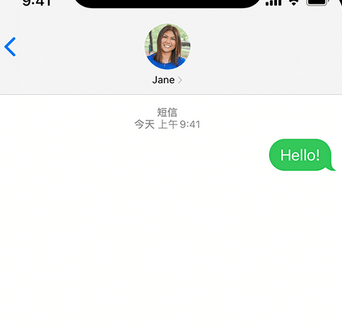 坦洲镇apple维修iPhone上无法正常发送iMessage信息