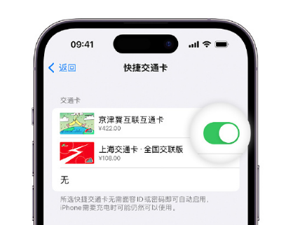 坦洲镇apple维修点分享iPhone上更换Apple Pay快捷交通卡手绘卡面 