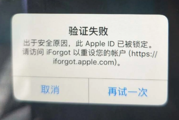 坦洲镇iPhone维修分享iPhone上正常登录或使用AppleID怎么办 