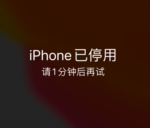 坦洲镇苹果手机维修分享:iPhone 显示“不可用”或“已停用”怎么办？还能保留数据吗？ 