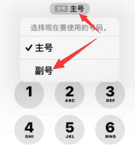 坦洲镇苹果14维修店分享iPhone 14 Pro Max使用副卡打电话的方法 