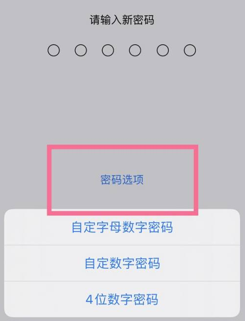 坦洲镇苹果14维修分享iPhone 14plus设置密码的方法 