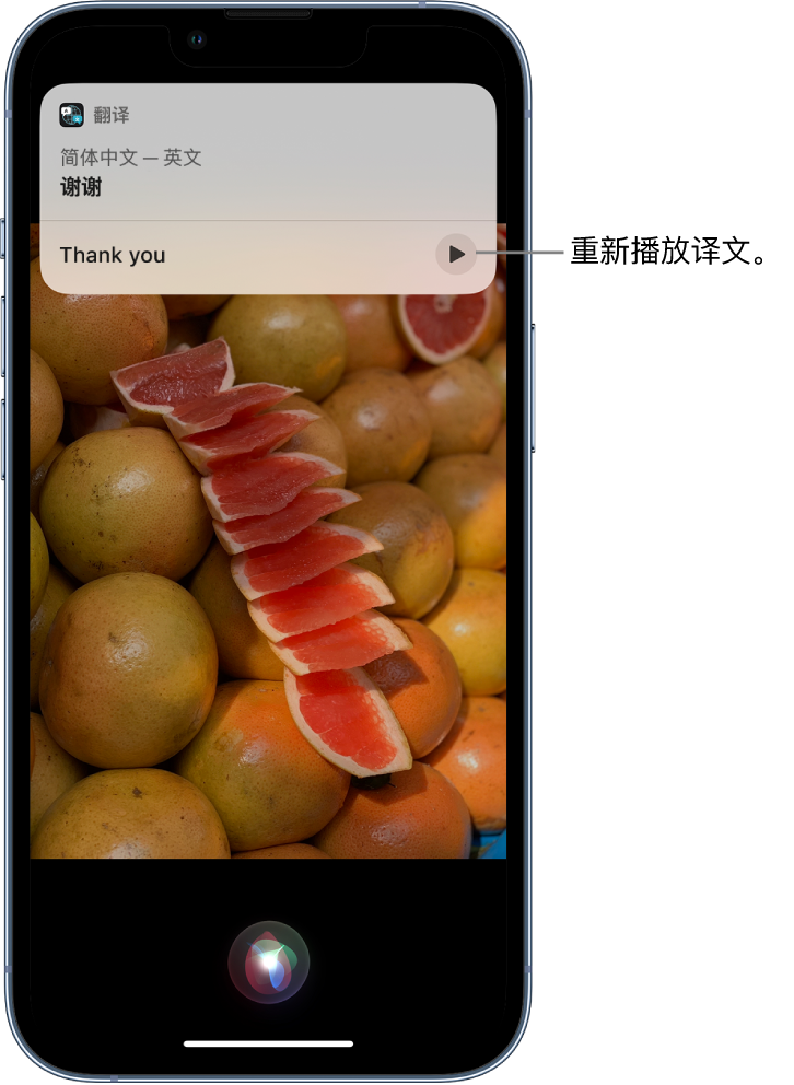 坦洲镇苹果14维修分享 iPhone 14 机型中使用 Siri：了解 Siri 能帮你做什么 