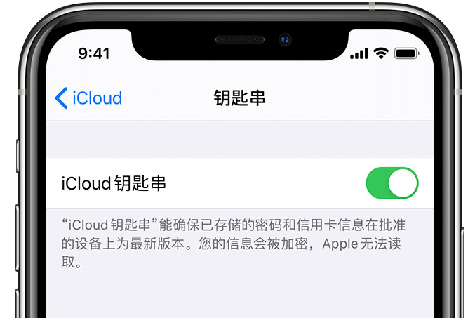 坦洲镇苹果手机维修分享在 iPhone 上开启 iCloud 钥匙串之后会储存哪些信息 