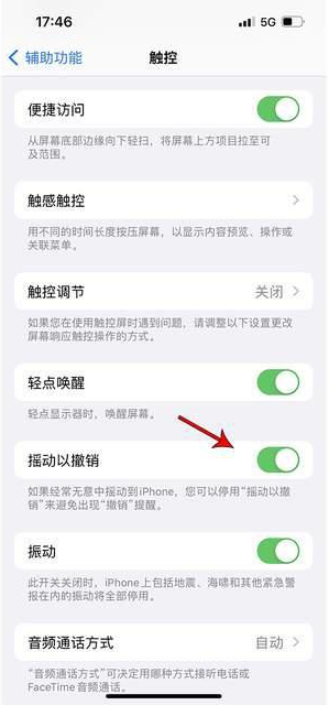 坦洲镇苹果手机维修分享iPhone手机如何设置摇一摇删除文字 