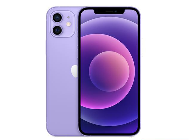 坦洲镇苹果手机维修分享现阶段要不要入手紫色版iPhone12 